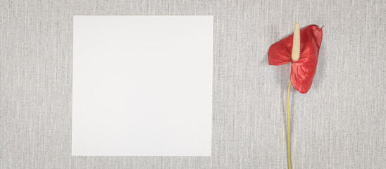 Carte carrée blanche sur fond gris avec une fleur. Pour écrire un message, invitation, vœux.	