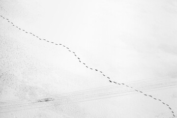 Top view human footprints in snow.  Aerial view of a human footprints on white snow on the frozen lake.