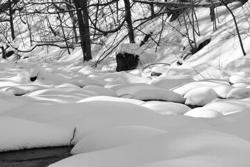 Black and white photo of snow covered rocks