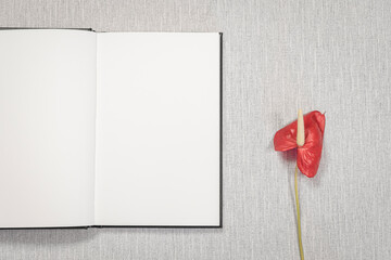 Livre ouvert avec des pages blanches sur fond gris avec une fleur. Pour écrire un message, invitation, vœux.		