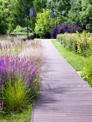 Use of lavender in landscape design.Decoration with purple lavender flowers of different kinds of flower beds, curbs along the paths.Road in the garden. Walk in the park. The bridge path in the park