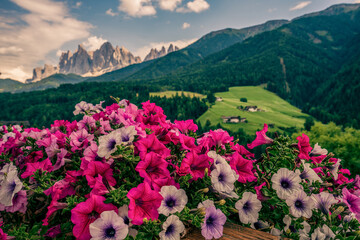 Fototapety na wymiar - Fototapeta24.pl