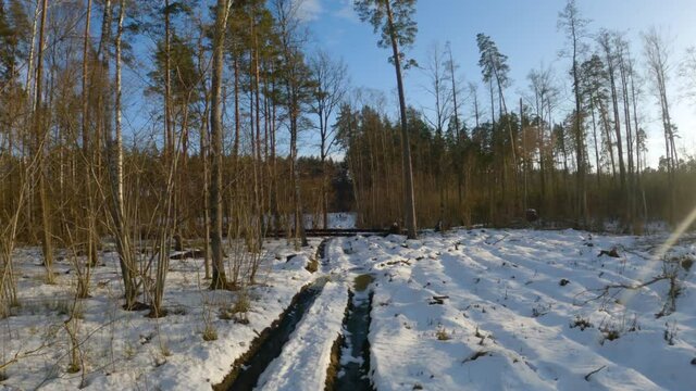 Winter aerial footage flying over beautiful snowy road, pine forest on a cold day before sunset, FPV drone footage.