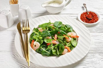 Salad of microgreen with avocado, shrimps, spinach