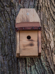 Nistkasten für Meisen und Singvögel aus Holz an einem Baum