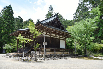 新緑の神護寺　五大堂　京都市高雄