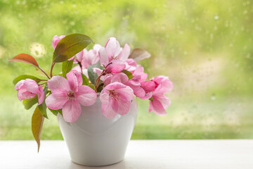 Pink flowers of decorative apple tree in a small white vase on a windowsill. Image for design postcards, calendar, book cover.