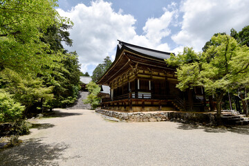 新緑の神護寺　境内　京都市高雄
