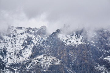Fototapeta na wymiar winter alpine landscape - snow-capped rocky cliffs with rare trees hide in cloudy fog