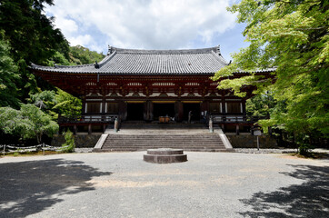 新緑の神護寺　金堂　京都市高雄