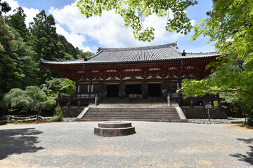 新緑の神護寺　金堂　京都市高雄