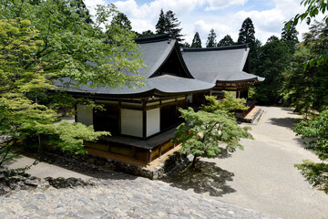 新緑の神護寺　五大堂と毘沙門堂　京都市高雄