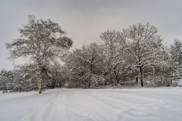 Obraz premium Winder Wonderland in Wilhelmsdorf Pfungen Ried