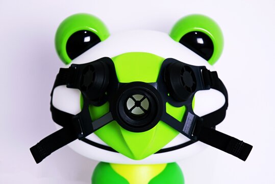 frog, a protective mask in the fight against coronavirus