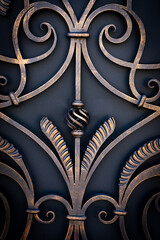 Exquisite wrought iron elements of the metal gate of a private house