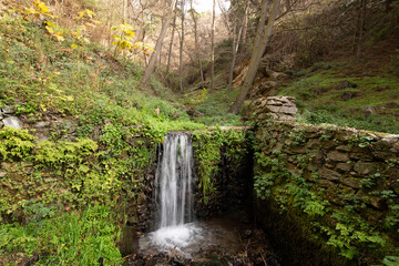 Cascada agua bosque montaña