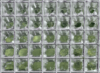 grille prise dans la glace