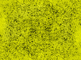 sponge and bone texture design