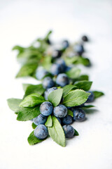 Plump sloes