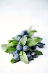 Sloe berries with leaves