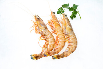 LANGOSTINO TIGRE, LANGOSTINO RAYADO