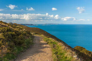 Fototapeta premium path to the sea, landscape with sky and clouds, Bray, Ireland 