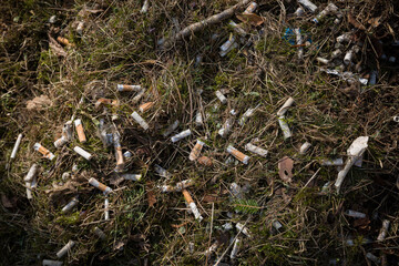 Top view of a large pile of cigarette butts in the park, against the background of last year's foliage. The beginning of spring. Selective focus