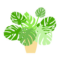 Flower Pot monstera in pot icon art design element stock vector illustration for web, for print, for flower shop, for packaging design