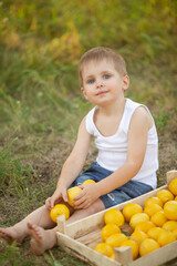 A cute boy with blond hair in a white T-shirt with summer lemons in the garden under a tree