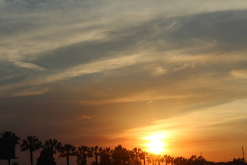Sonne geht unter bei Palmen und Wolken 