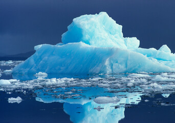 South America, Chile, San Rafael Lagoon NP. Enormous icebergs beautifully litter the San Rafael...
