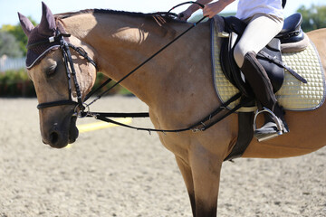 Unknown contestant rides at dressage horse event in riding ground. Head shot close up of a dressage...