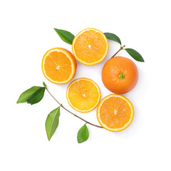 fresh various orange slices isolated on white