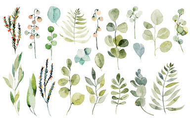 Collection of watercolor berries, green plants and eucalyptus branches, botanical elements isolated on white background