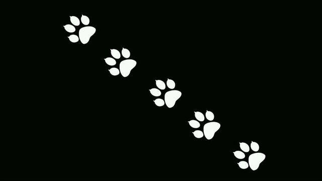 Paw prints of animal on a black background. An abstract backdrop for the writing of the text.