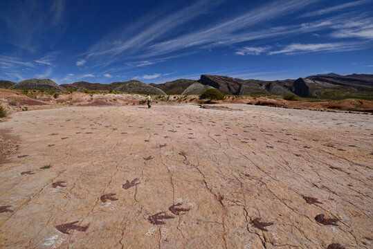 Dinosaur footprints in Torotoro National Park, Torotoro, Bolivia