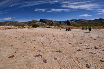 Dinosaur footprints in Torotoro National Park, Torotoro, Bolivia © RaquelMogado