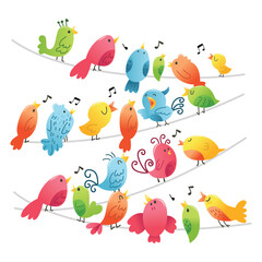 Fototapeta premium Super Cute Birds On Wires