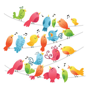 Super Cute Birds On Wires