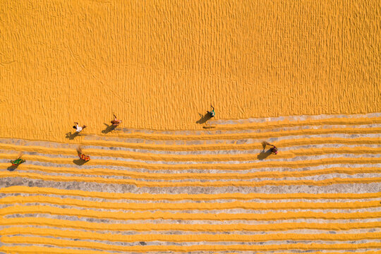 Aerial view of a few peasants working in a paddy field raking and drying the rice in Dhamrai, Dhaka province, Bangladesh.