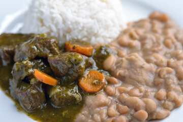 Teasty Peruvian food beans with beef Seco con frejoles