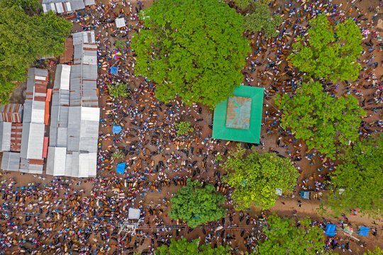 Aerial view of people in a local market, people trading cows at cattle selling point in Dupchanchia, Rajshahi state, Bangladesh.