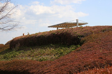 昭和の森　展望台広場