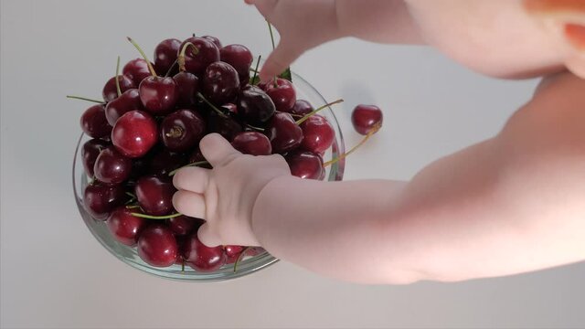 Montessori kid development motility baby through tactile perception fingers toddler trying to reach berry. Close up infant hand takes sweet cherries fruit. Sensory play child hands touch berries plate