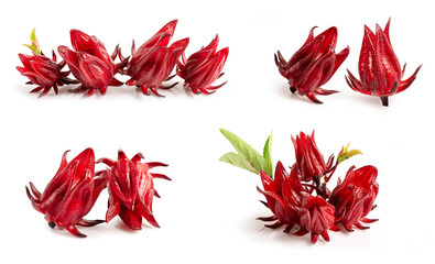 Set of  Roselle fruits isolated on white background