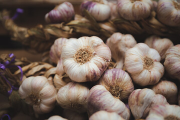Close-up detail of fresh garlic (Allium sativum) bulbs on display for sale at a country farmers market in Souillac, France.