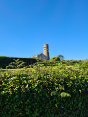 Fototapeta na wymiar Guernsey Channel Islands, Vale Mill