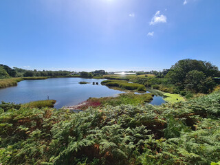 Guernsey Channel Islands, Vale Pond