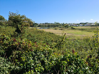 Fototapeta na wymiar Guernsey Channel Islands, Vale Pond