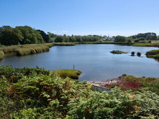 Obraz premium Guernsey Channel Islands, Vale Pond